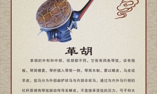 白萝卜胡萝卜可以一起炖排骨吗-白萝卜胡萝卜炖排骨的好处功效网 :分享白萝卜胡萝卜炖排骨的好处功效与禁忌-白萝卜胡萝卜可以一起炖排骨吗知识