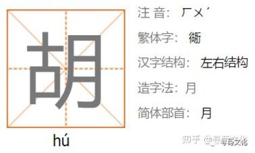 白萝卜胡萝卜炖排骨的好处功效-白萝卜胡萝卜炖排骨的好处功效网 :分享白萝卜胡萝卜炖排骨的好处功效与禁忌-白萝卜胡萝卜可以一起炖排骨吗知识