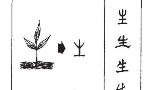 白萝卜胡萝卜炖排骨的好处功效与禁忌-白萝卜胡萝卜炖排骨的好处功效网 :分享白萝卜胡萝卜炖排骨的好处功效与禁忌-白萝卜胡萝卜可以一起炖排骨吗知识