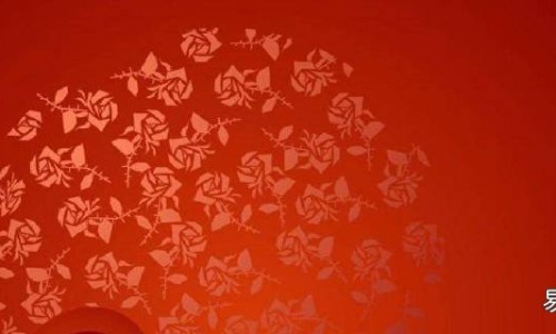 排骨炖白萝卜胡萝卜汤-白萝卜胡萝卜炖排骨的好处功效网 :分享白萝卜胡萝卜炖排骨的好处功效与禁忌-白萝卜胡萝卜可以一起炖排骨吗知识